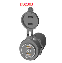 Dual Port USB Socket - 12-24V - DS2303 - ASM